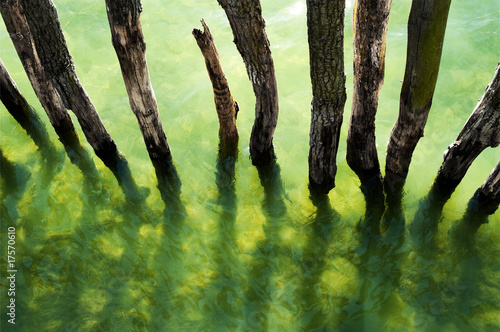 Photo: Wasserpfähle Wasserpfähle