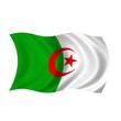 flag algeria