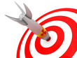 missile in target