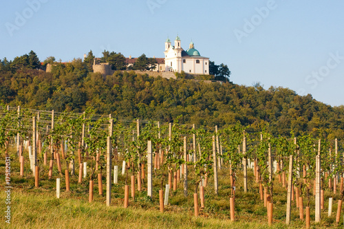 Foto: Leopoldsberg seen from wine yard, Vienna Leopoldsberg seen from wine yard, Vienna