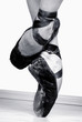 Ballet Shoes