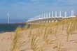 Delta-Düne