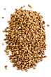 Buckwheat grain