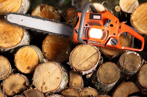 Ready to work with the saw?
