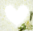 Photo: romance romance