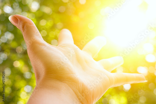 Photo: Hand outstretched to sun Hand outstretched to sun