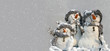 carte postale: groupe de trois bonhomme de neiges carte postale: groupe de trois bonhomme de neiges