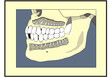 Vektor: Dentalmedizin Dentalmedizin