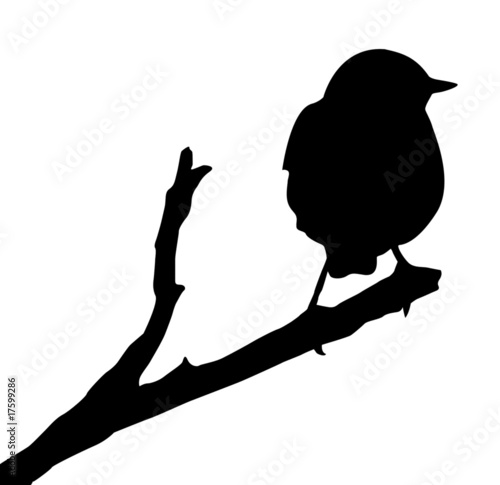 bird silhouette tattoo. vector silhouette of the ird