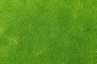 Green grass