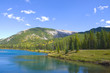 Forget Me Not Pond Forget Me Not Pond