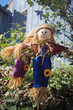 cute little scarecrow cute little scarecrow