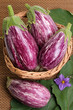 Eggplants.
