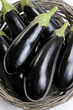 Eggplants. Eggplants.