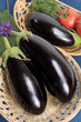 Eggplants.