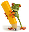 Grenouille et crayon