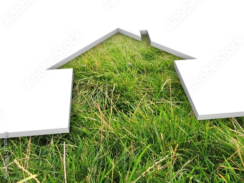 Illustration: eco house metaphor eco house metaphor