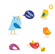 Colored twitter birds set. Vector Illustration.