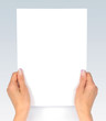 Looking At Paper