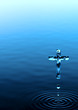 Holy Cross