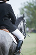 horse and jockey