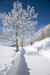 Winterwanderweg
