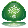 Bouton 