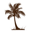 Vector palm tree