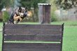 the jump