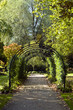 Tunnel pergola