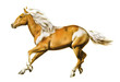 Pferd