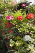 Flower pots