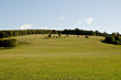 Open farmland
