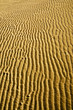 Sand ripples