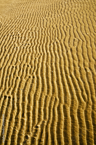 Photo: Sand ripples Sand ripples