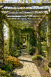 pergola