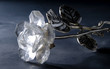 Crystal Rose on Silver Stem w/ off centered lighting