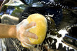 Car Wash