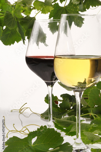 Photo: vini vini