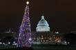 U.S. Capitol U.S. Capitol
