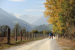 Radfahrer im Vinschgau