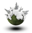 winter forest