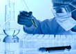 scientist working at the laboratory