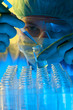 scientist working at the laboratory scientist working at the laboratory