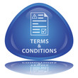 "Terms & Conditions" Button