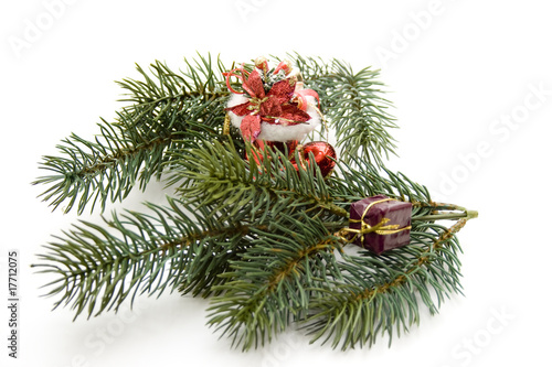Photo: Nikolaus Schuh Nikolaus Schuh