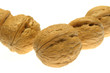 Walnuts isolated on white background