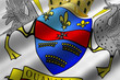 Saint Barthelemey Flag