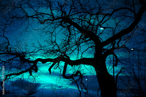 Photo: disquieting landscape disquieting landscape