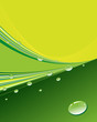 Green abstract background with rain drops